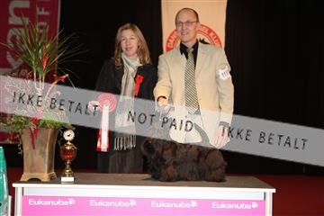 126827_tl_02_IMG_3082.JPG