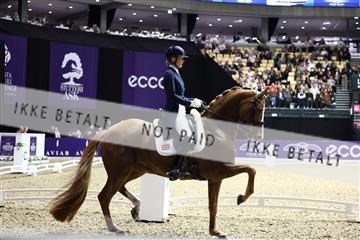 182194_avh_06_3558.JPG