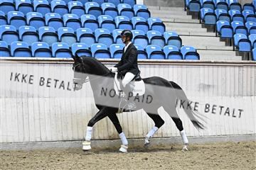 182241_kbb_01_Z093850.JPG