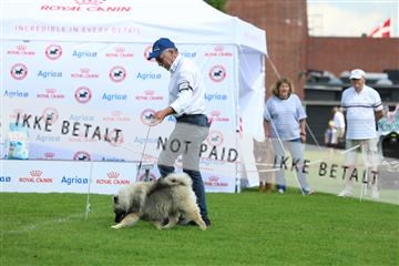 181564_rin_01_R62_7822.JPG