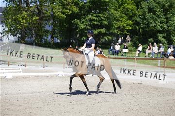 181449_kbb_01_6II9237.JPG