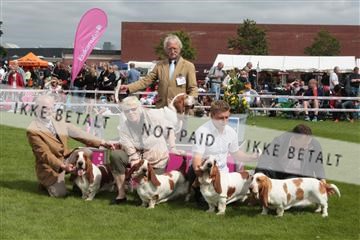 130370_tl_01_IMG_7228.JPG
