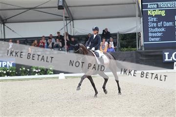 152495_tbj_02_IMG_8349.JPG