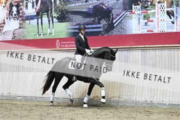 182241_kbb_01_Z094110.JPG
