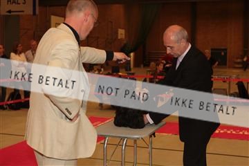 124188 _tl_02_IMG_9710.JPG