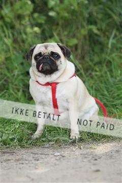 130370_se_01_IMG_5390.JPG