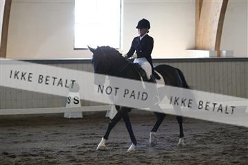 139267_kl_1_8M1Q6838.JPG