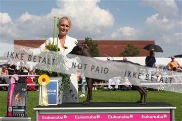 130370_se_03_IMG_7680.JPG