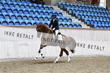 182241_kbb_01_Z094937.JPG