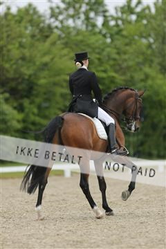 139835_sg_03_IMG_9188.JPG
