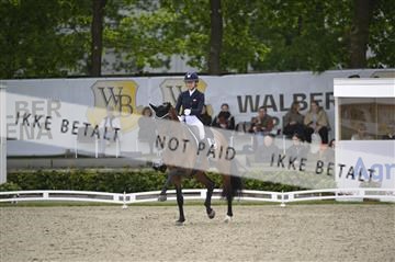 181449_kbb_04_Z093670.JPG