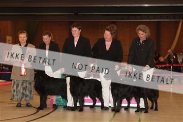 124188 _tl_02_IMG_9284.JPG