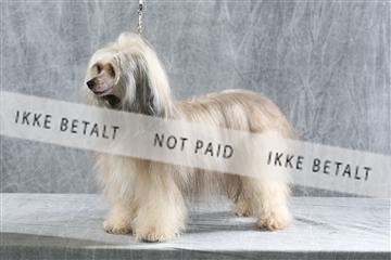 129608_le_ 01_0081.JPG