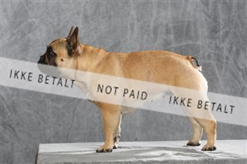 130054_le_ 01_0278.JPG