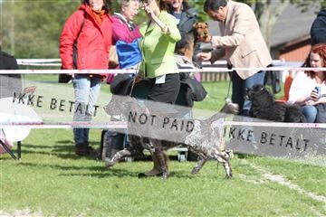 134871_ms_01_IMG_3973.JPG