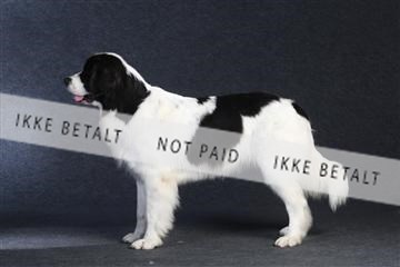 132082_le_ 01_IMG_0579.JPG