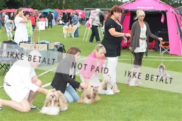 130370_tl_02_IMG_7627.JPG