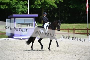 176255_mtp_01_Z09_0512.JPG