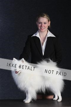 132082_le_ 01_IMG_0460.JPG