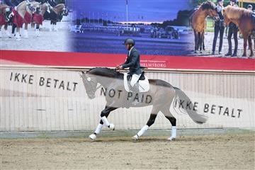 181887_mtp_04_R62_8441.JPG