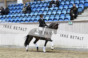 182241_kbb_01_Z093170.JPG