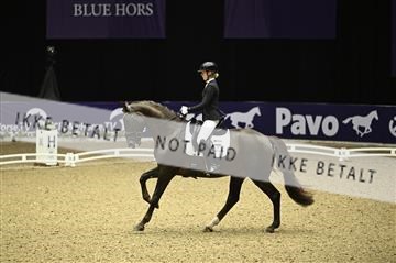 182194_kbb_01_Z095521.JPG