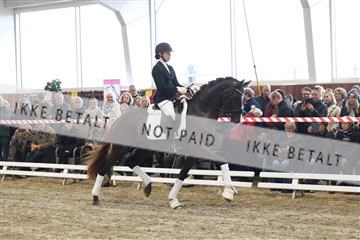 174363_kbb_01_R6II7948.JPG