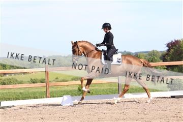 181449_bc_01R62_6056.JPG