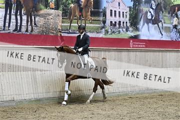 182241_kbb_01_Z094835.JPG