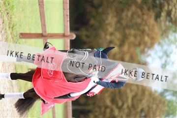181923_mtp_03_R62_8142.JPG