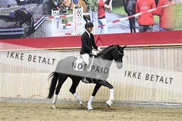 182241_kbb_01_Z094114.JPG