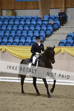 139403_ms_01__MS18500.JPG