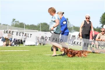 181564_rin_02_R62_1162.JPG