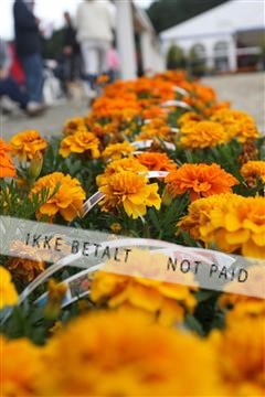 5350_sme _03_IMG_4633.JPG