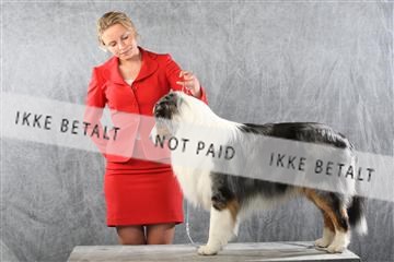 129608_le_ 01_0862.JPG