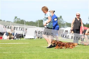 181564_rin_02_R62_1163.JPG