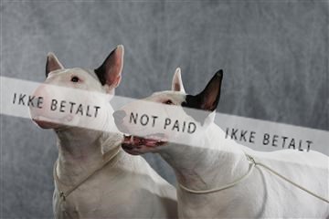 128239_le_kort_ 01_0292.JPG