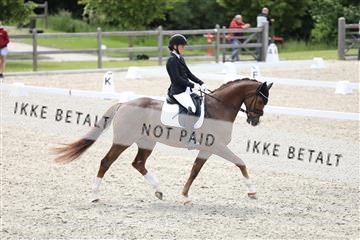 172030_mtp_01_3M5A1935.JPG