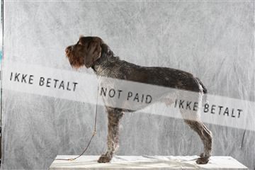 128239_le_ 06_0018.JPG