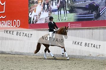 182241_kbb_01_Z093711.JPG