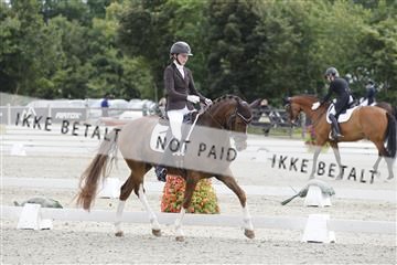 166078_rhj_01__J7R2493.JPG