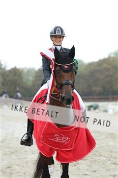 181923_mtp_04_R62_9095.JPG