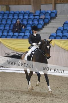 139403_ms_01__MS18080.JPG