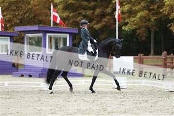 181923_mtp_01_R62_6971.JPG