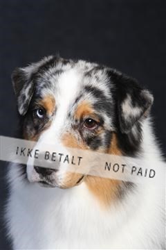 132082_le_ 01_IMG_0266.JPG