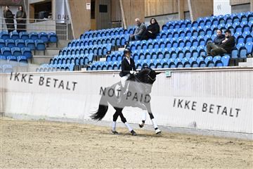 182241_kbb_01_Z094047.JPG