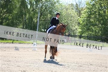 168732_mtp_01_3M5A6934.JPG