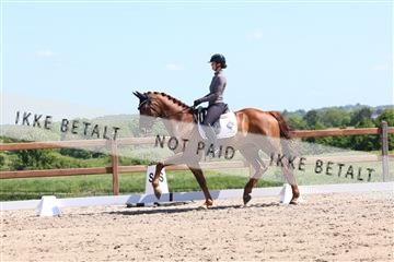 181449_bc_01R62_5659.JPG