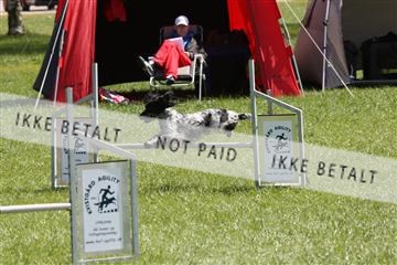 134871_ms_02_IMG_2975.JPG