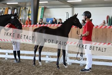 181756_mtp_03_R62_2480.JPG